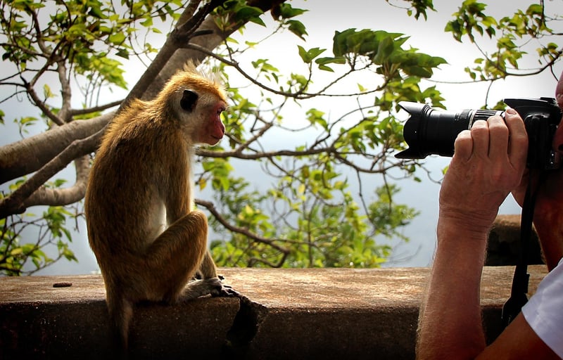 Paparazzi Tales
